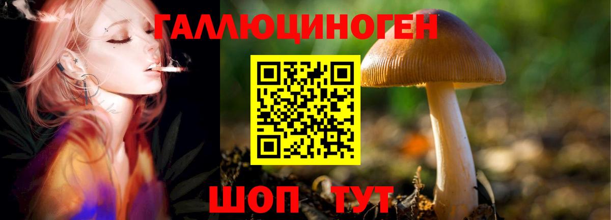 Галлюциногенные грибы мицелий Новоалтайск